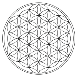 Yaşam Çiçeği: Kutsal geometri olarak geçen sembol, şekillerin, desenlerin ve matematiksel oranların evrendeki tüm yaratılışın temeli olduğuna olan inançtır. Kutsal geometriye inananlara göre&nbsp;yaşam&nbsp;çiçeğinin deseni, DNA'dan gezegenlere kadar her şeyin yapısını oluşturur.&nbsp;