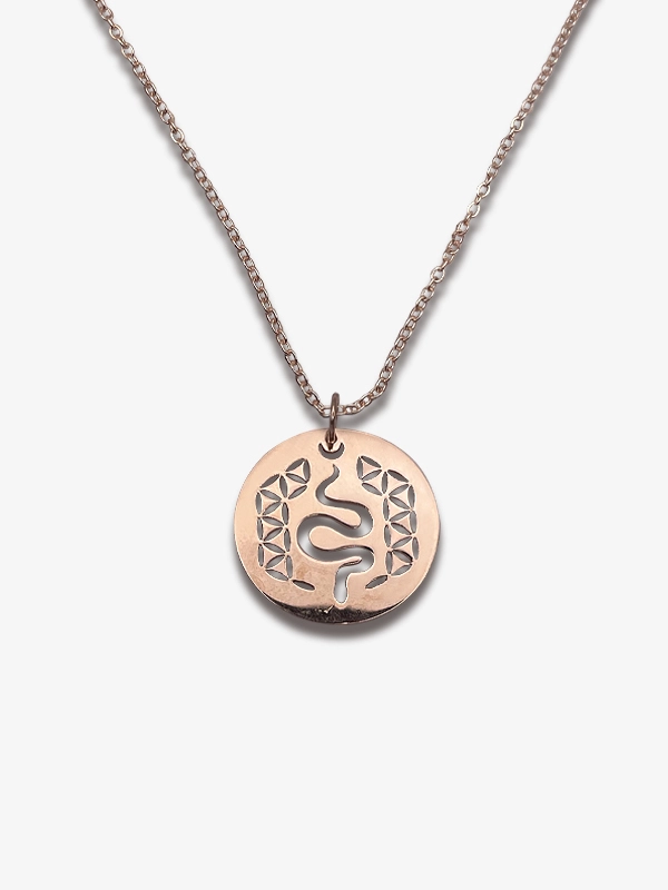 Snake Rose Gümüş Kolye